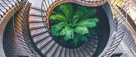 Treppenhausreinigung - Büroreinigung - Housekeeping Wilken